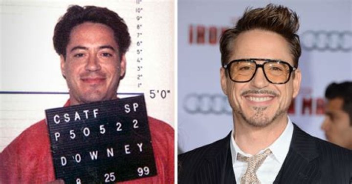 Robert Downey, Jr. (Unofficial)