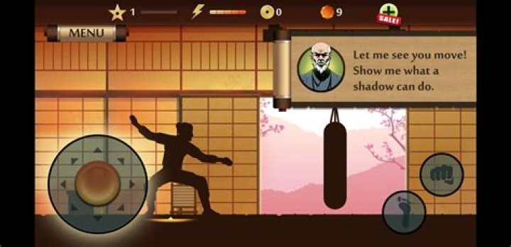 Shadow fight 2