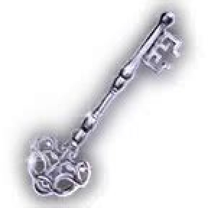 shiny key bg3