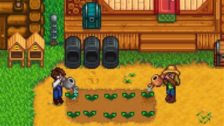 Stardew Valley | No free slots on server error fix