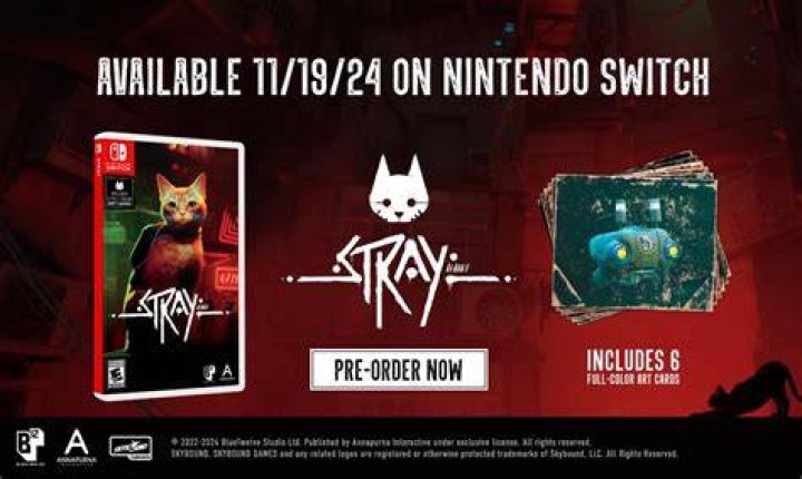 stray nintendo switch release date 2