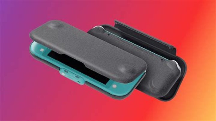 The Best Nintendo Switch Lite Accessories