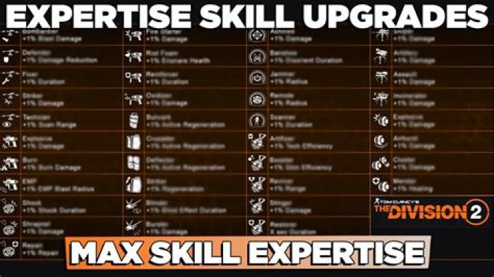 The Division 2 Skills Not Working Fix