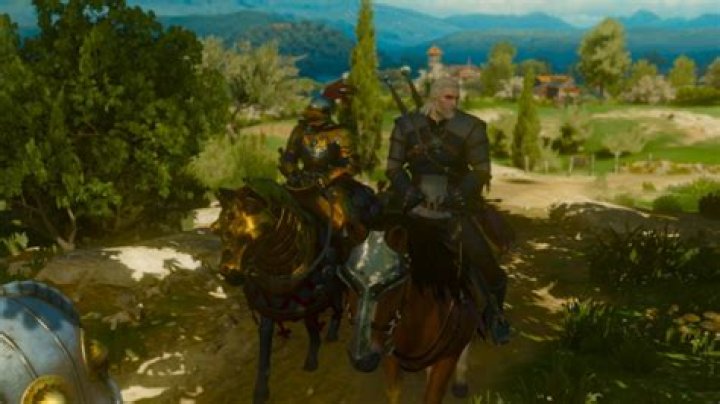 The Witcher 3 Missing in Action Quest Failed | Can you go back?