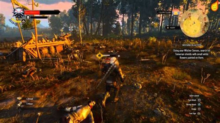 The Witcher 3 Missing in Action Quest failed
