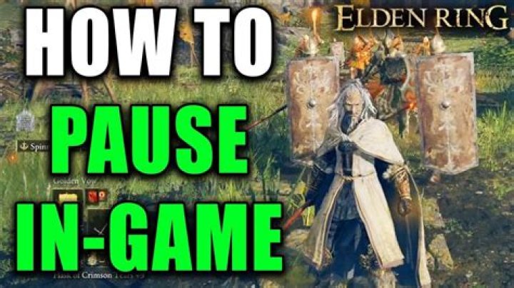Turns out you can pause Elden Ring without a mod