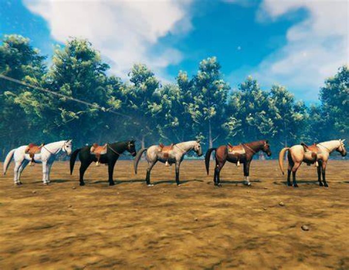 Valheim horse