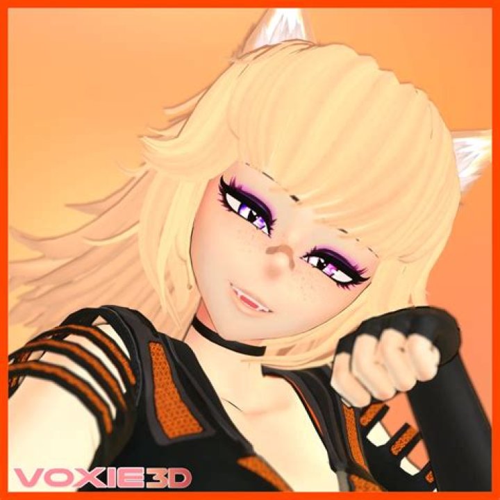 vrchat avatar