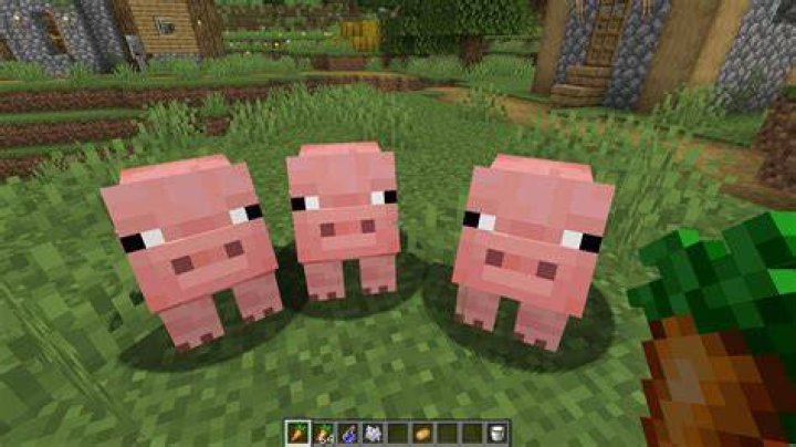 What Pigs Eat in Minecraft