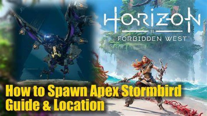 Where is the apex Stormbird?