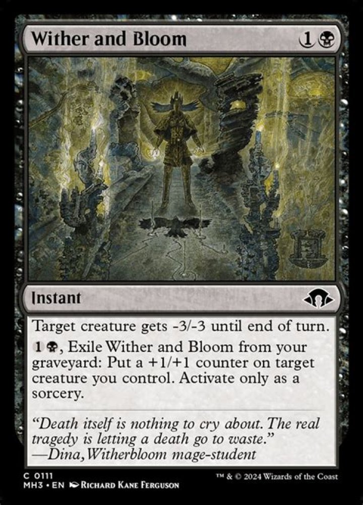 Witherbloom mage from D&D and Magic: The Gathering