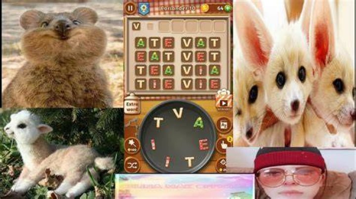Word Cookies Astounding Chef-Coriander Level 11 Answers Word Cookies Astounding Chef-Coriander Level 11 Answers