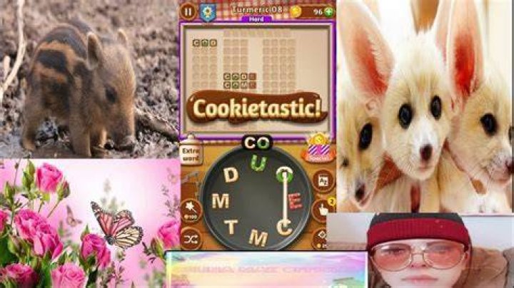 Word Cookies Astounding Chef-Turmeric Level 16 Answers
