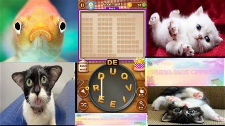 Word Cookies Wondrous Chef-Creamy Level 7 Answers