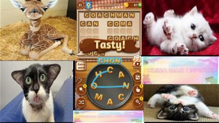 Word Cookies Wondrous Chef-Mozzarella Level 6 Answers